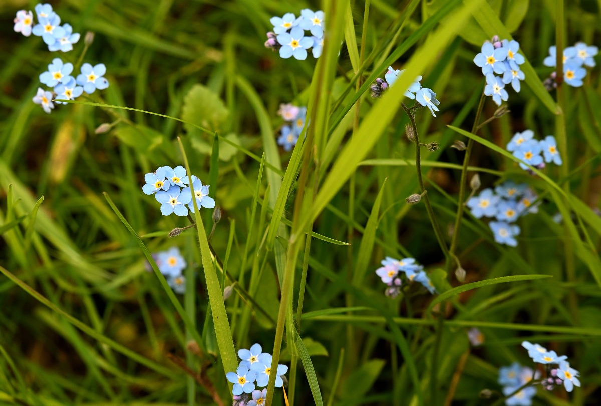 DSC_3830.JPG