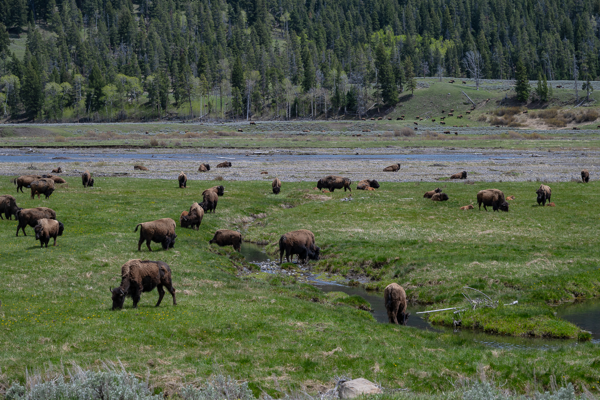 DSC_3831.jpg