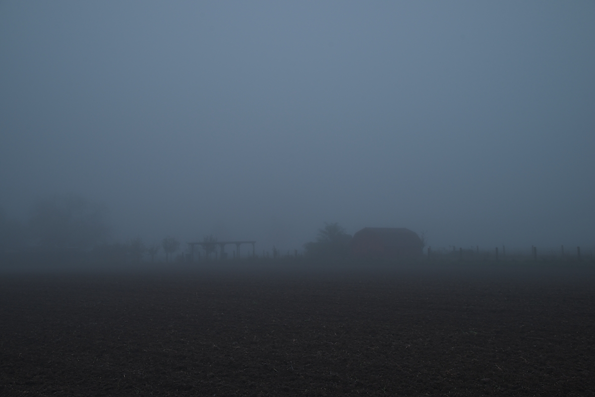DSC_3839_NIKON Z 5_1200.jpg