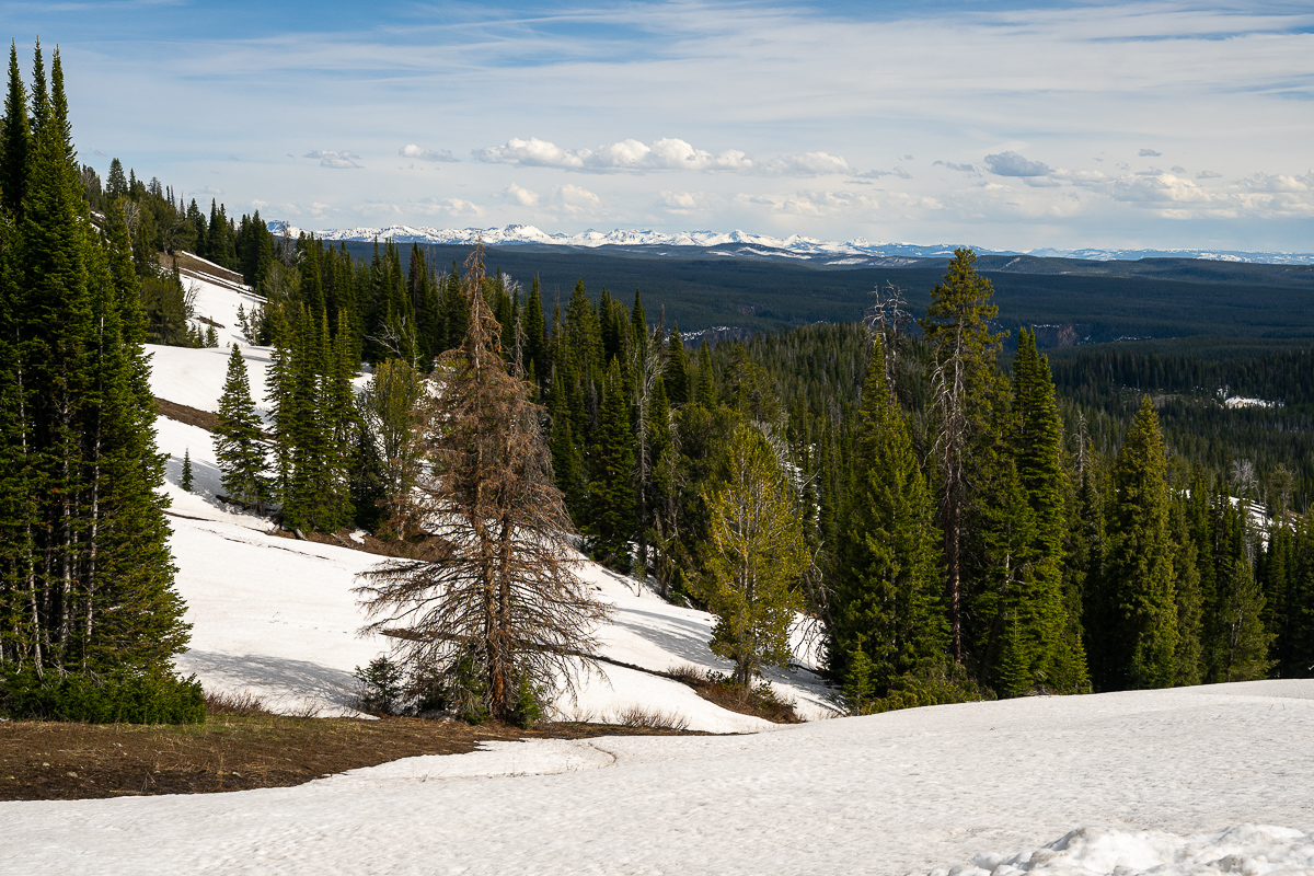 DSC_3863.jpg