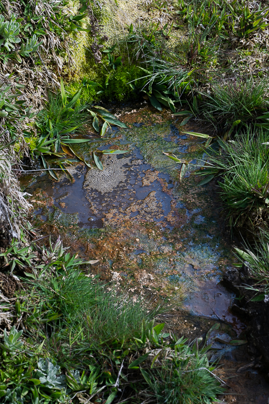 DSC_3872.jpg