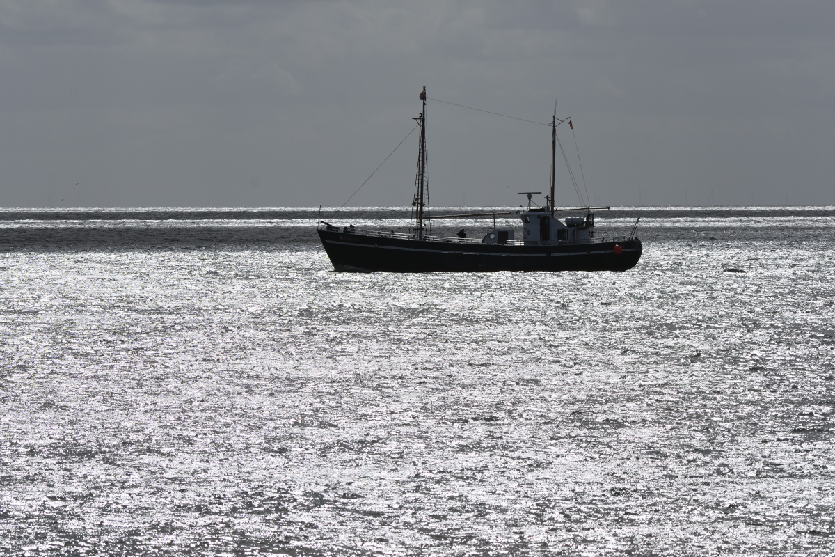 DSC_3912.JPG