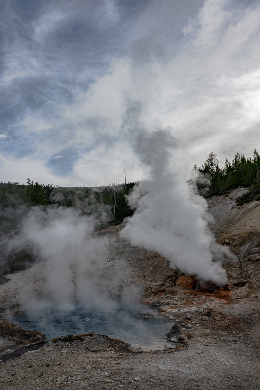DSC_3918.jpg