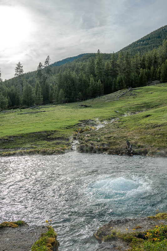 DSC_3921.jpg