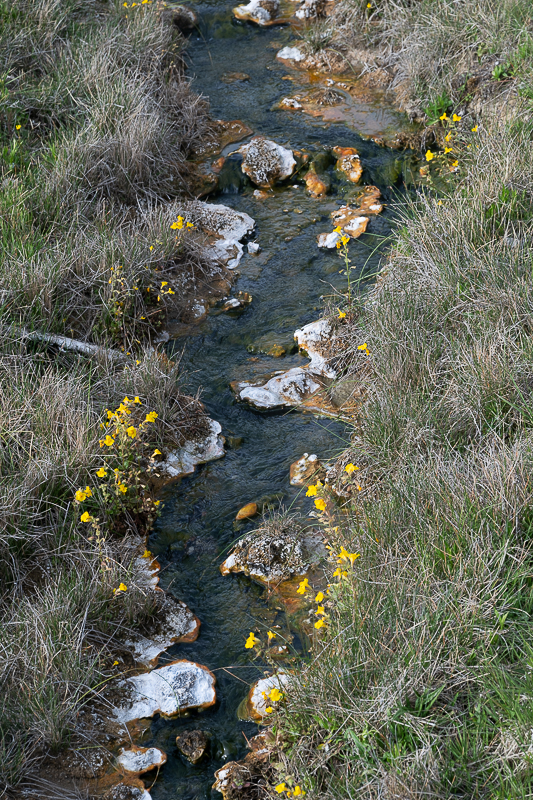 DSC_3923.jpg