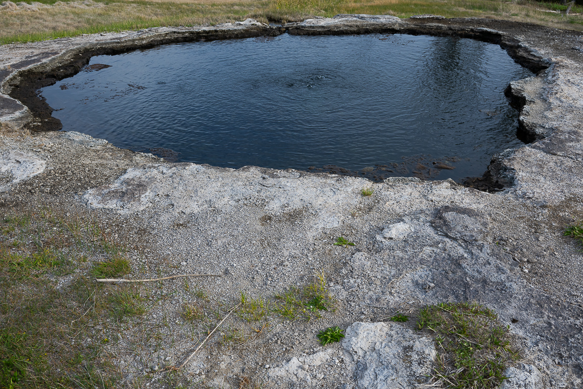 DSC_3925.jpg