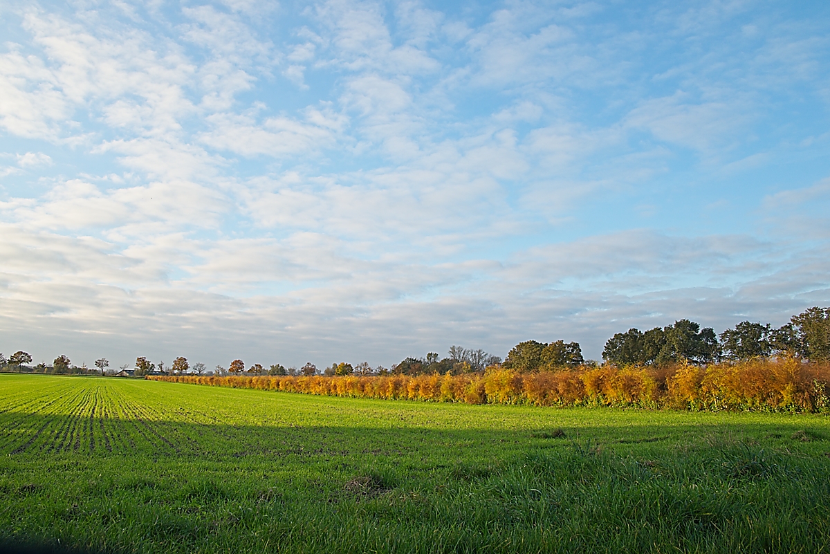 DSC_3948_NIKON Z 5_1200.jpg