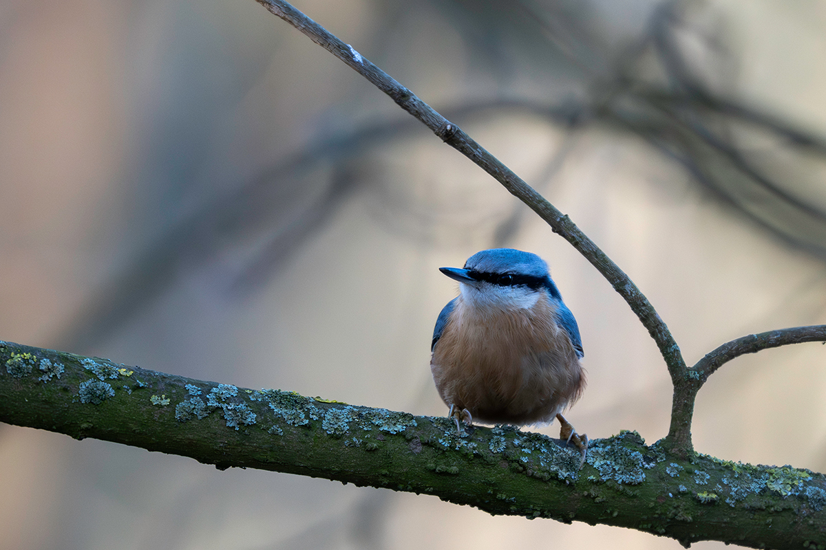 DSC_3957.jpg