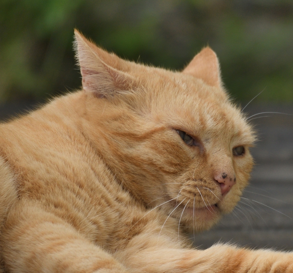 DSC_3958_00001kn.jpg