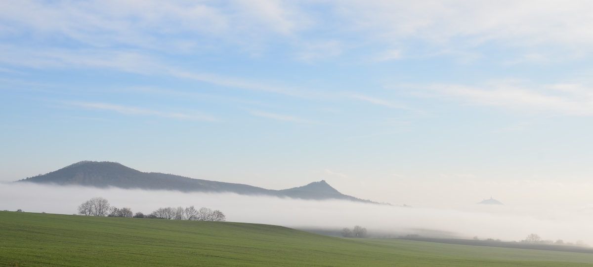 DSC_3965 (2)n.JPG