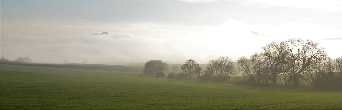 DSC_3966 (3)n.JPG