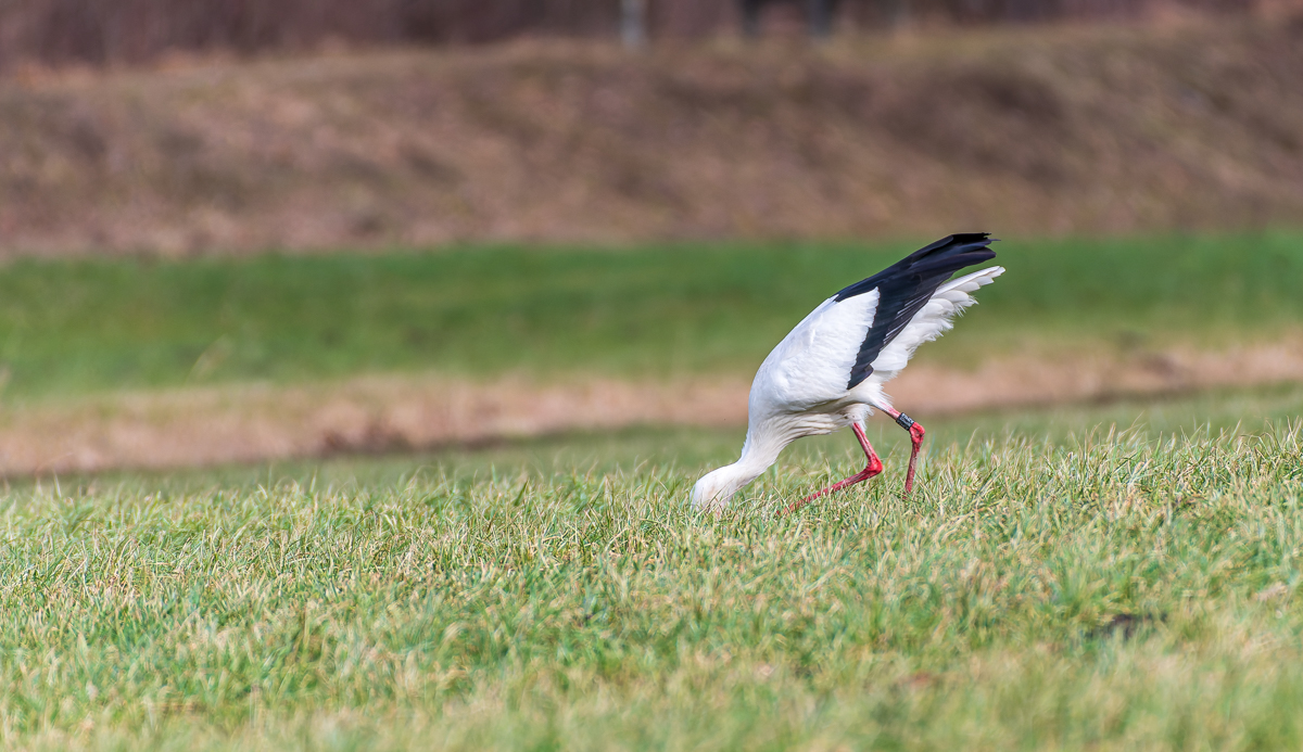 DSC_3970.jpg