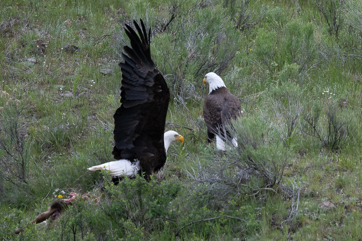 DSC_4004.jpg