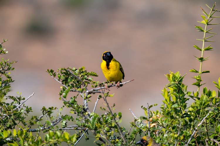DSC_4033.jpg
