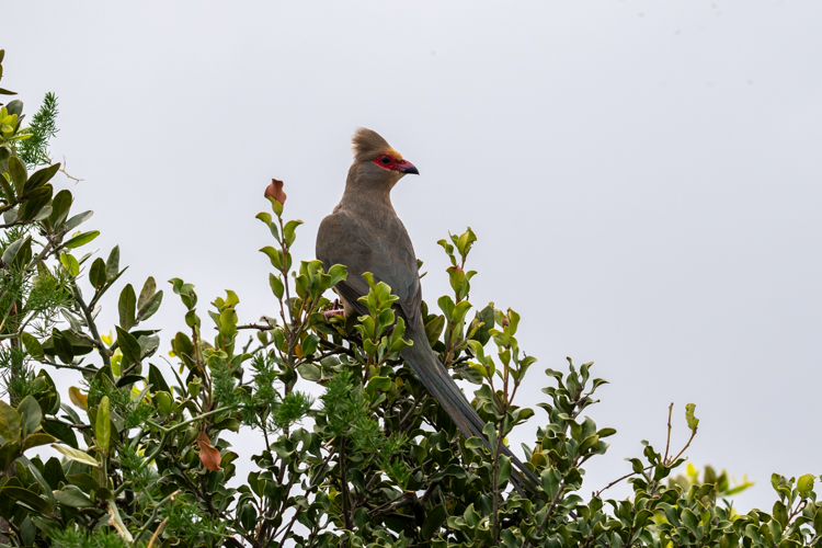 DSC_4040.jpg