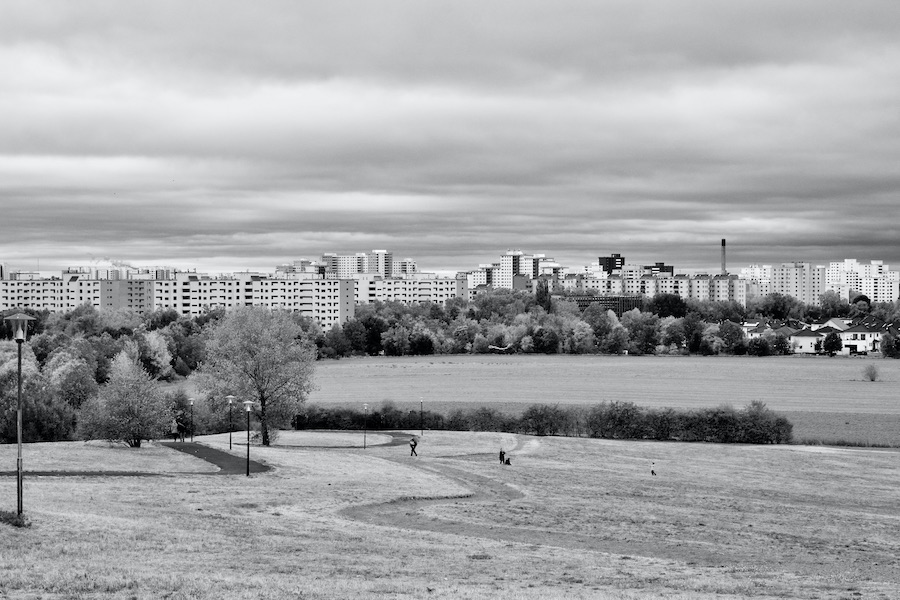 DSC_4064.jpeg