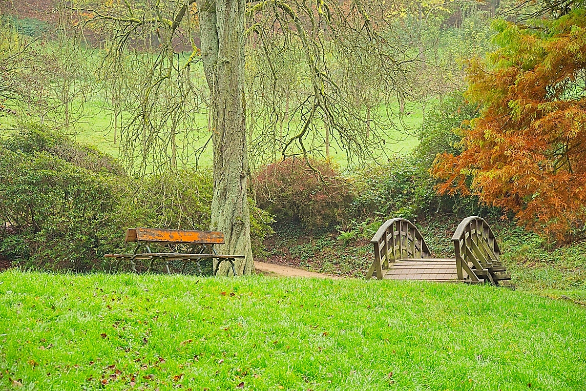 DSC_4066_NIKON Z 5_1200-2.jpg
