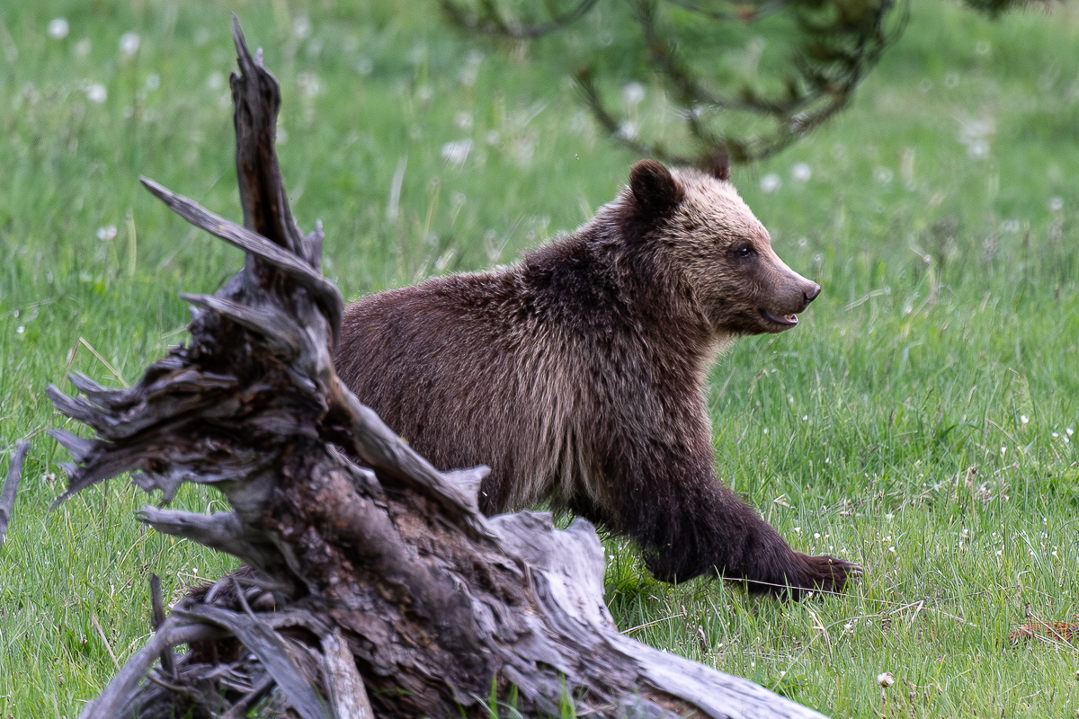 DSC_4069 (2)-Verbessert-RR.jpg