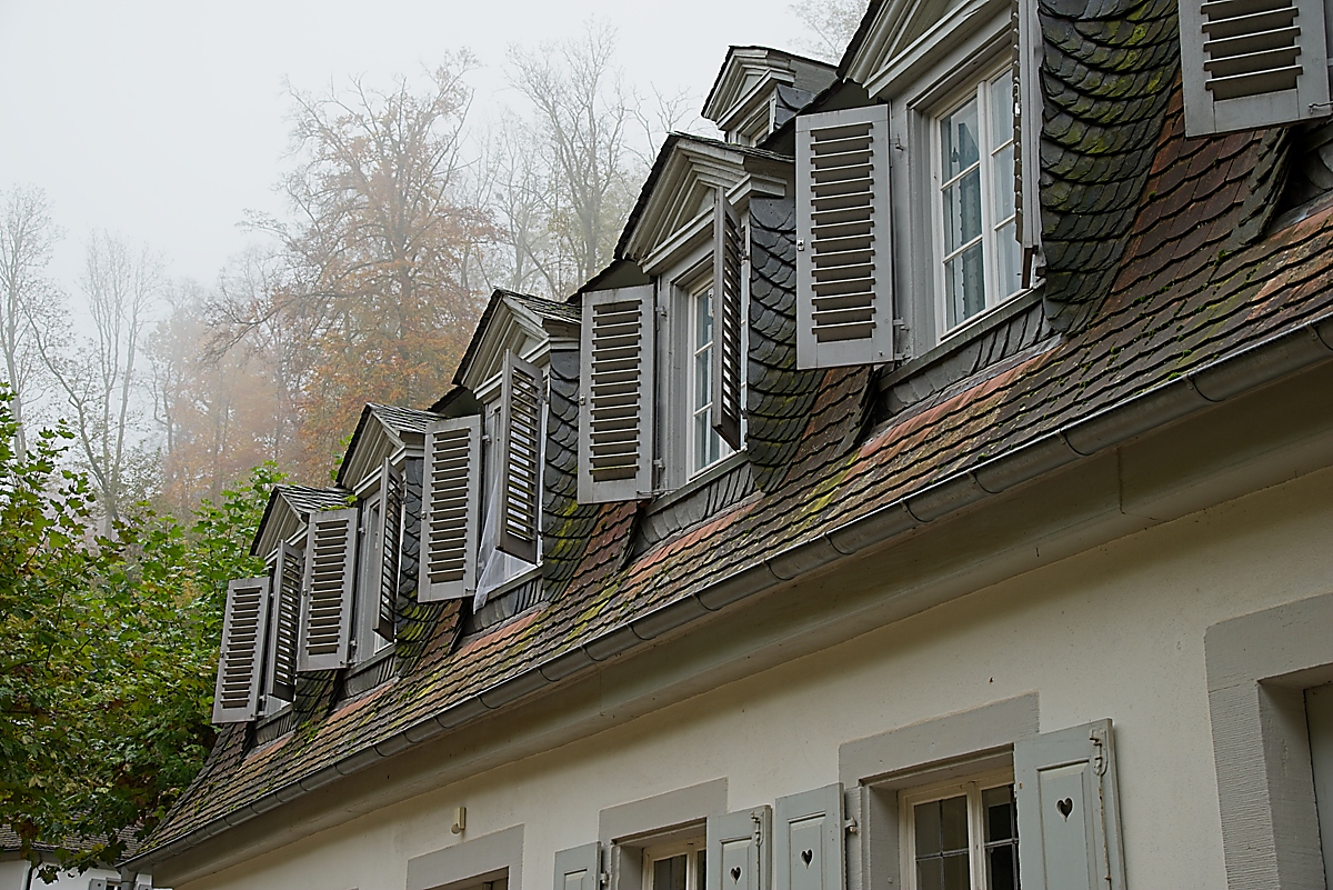 DSC_4091_NIKON Z 5_1200.jpg