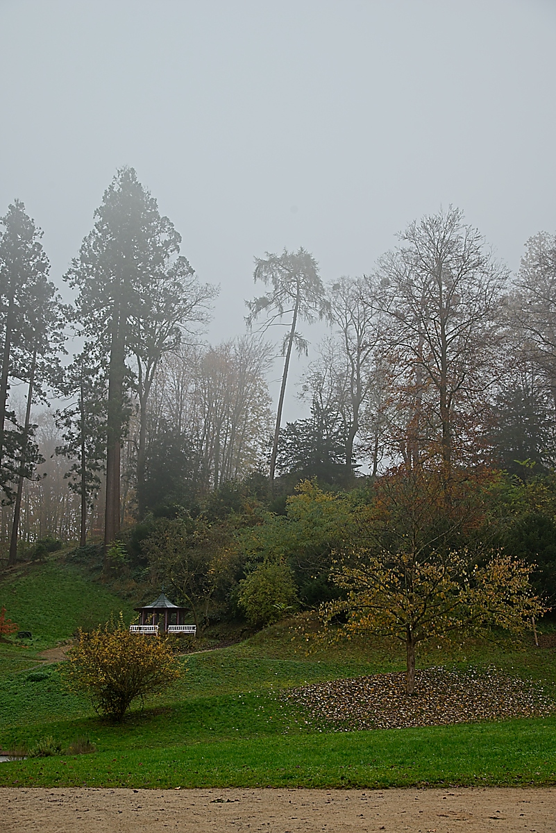 DSC_4106_NIKON Z 5_1200.jpg
