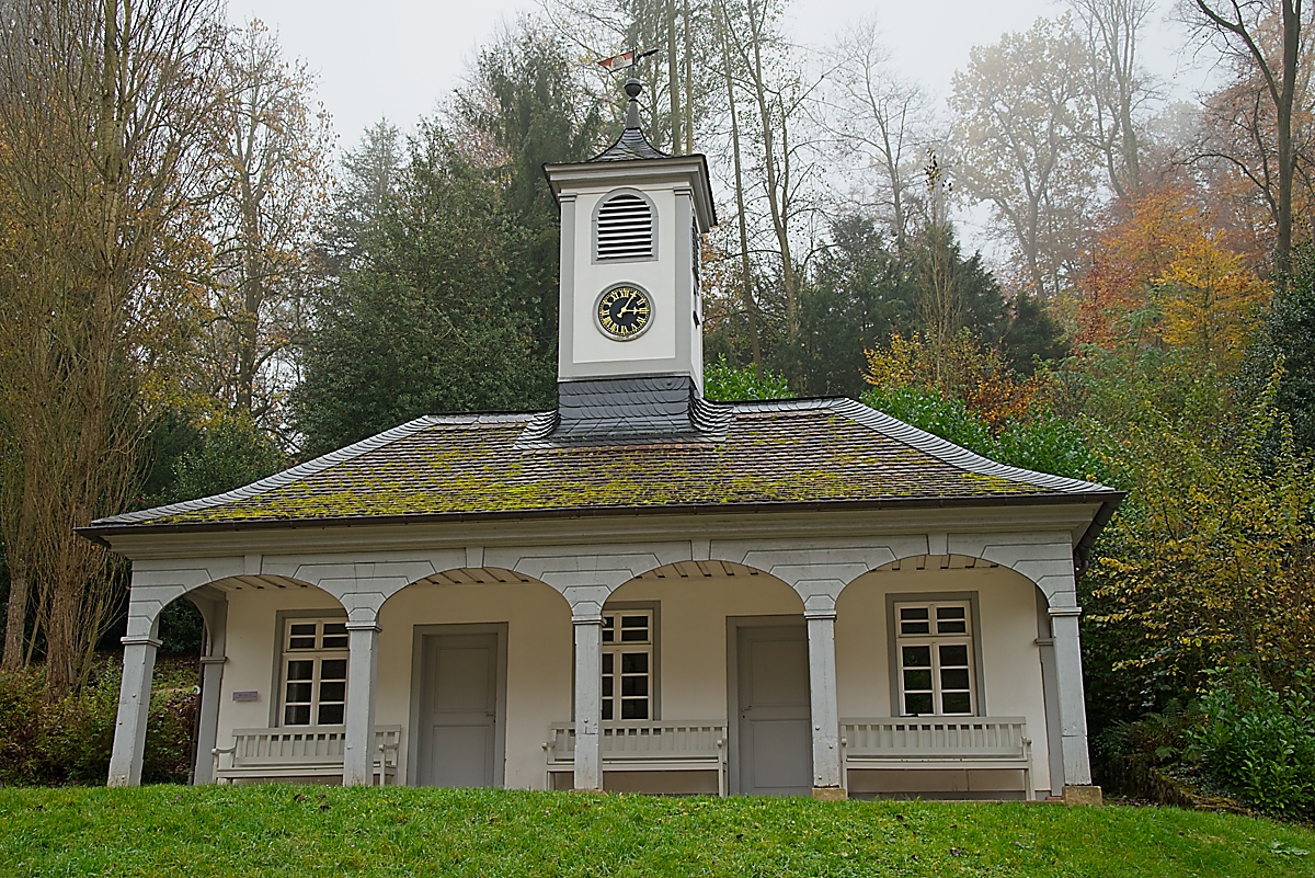 DSC_4107_NIKON Z 5_1200.jpg
