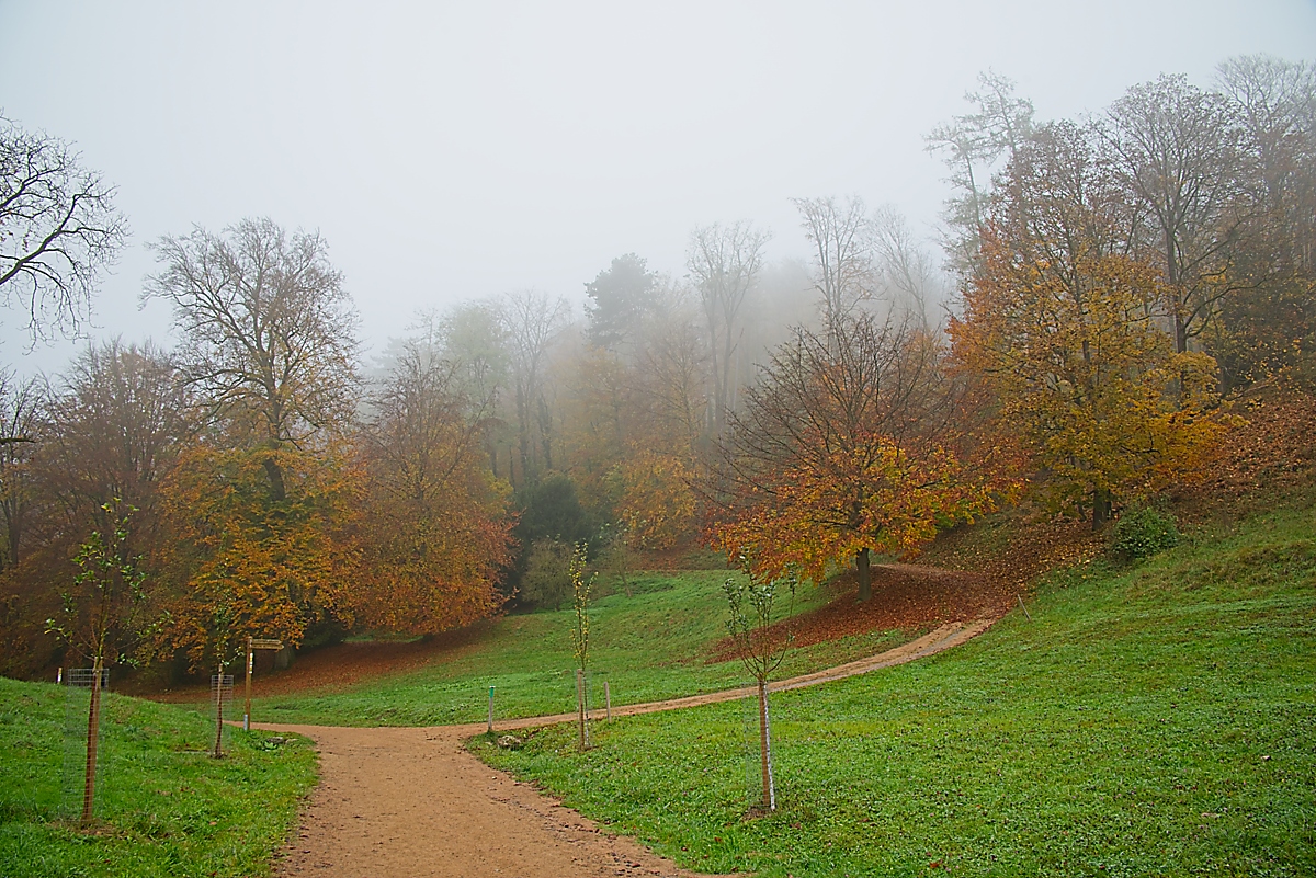 DSC_4117_NIKON Z 5_1200.jpg