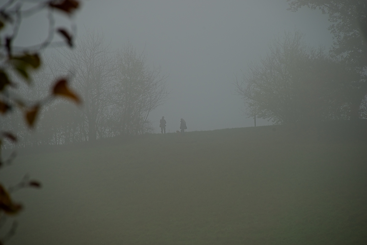 DSC_4152_NIKON Z 5_1200.jpg