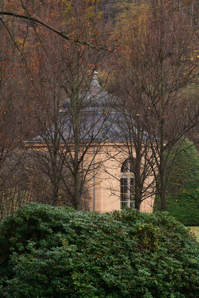 DSC_4186_00001n.jpg