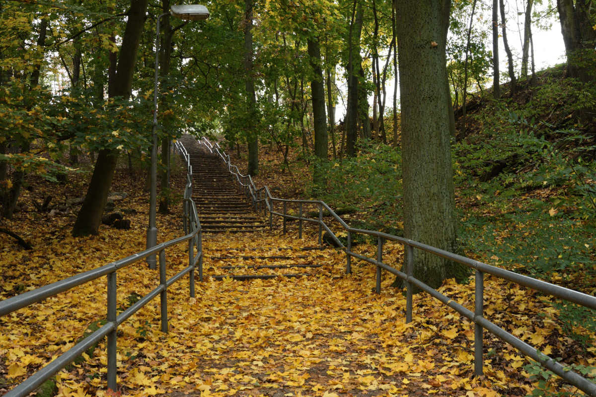 DSC_4188.JPG