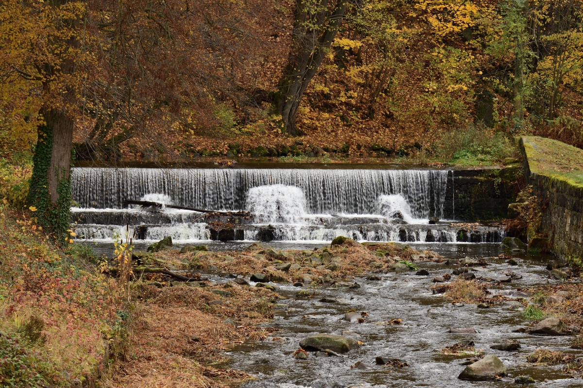 DSC_4202_00001n.jpg