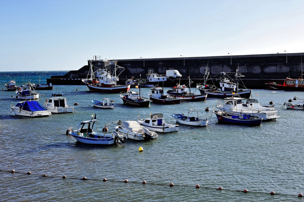 DSC_4205.jpg