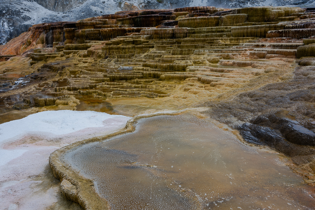 DSC_4225.jpg