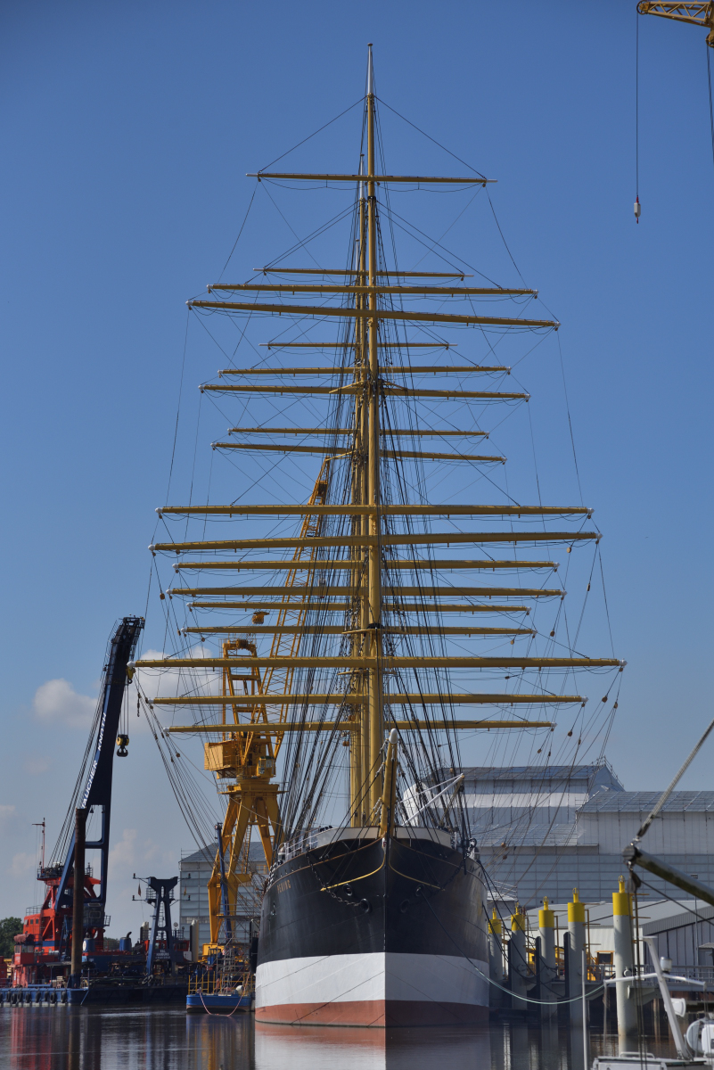 DSC_4230_00001.jpg