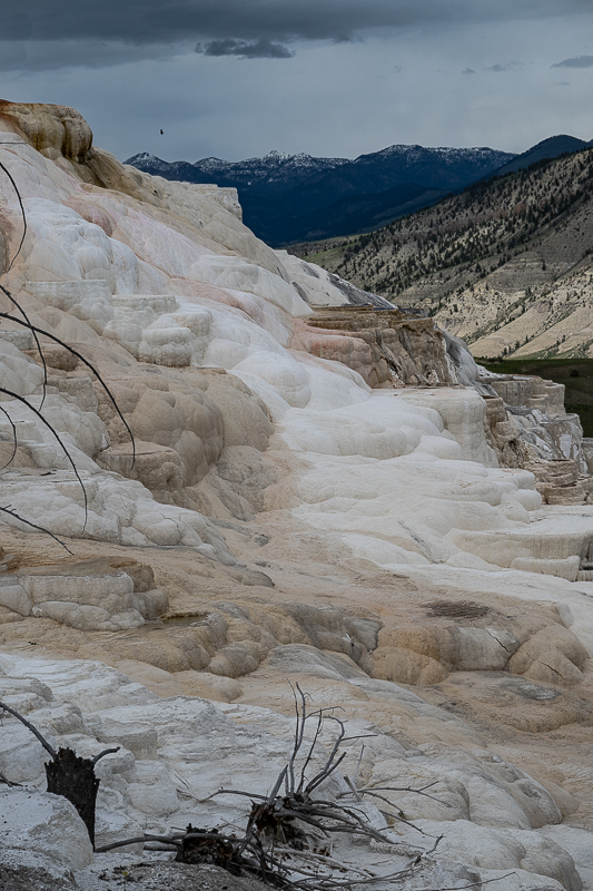 DSC_4242.jpg