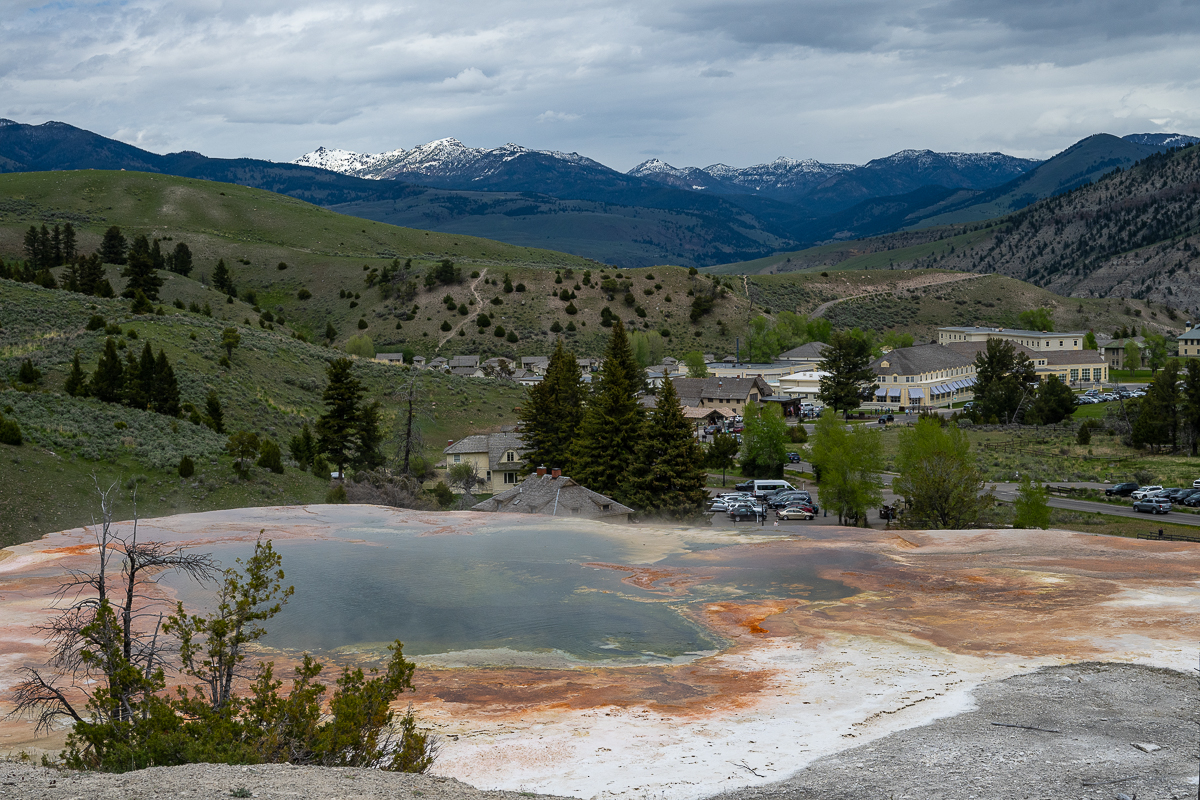DSC_4263.jpg