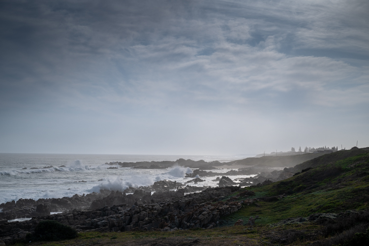 DSC_4294.jpg