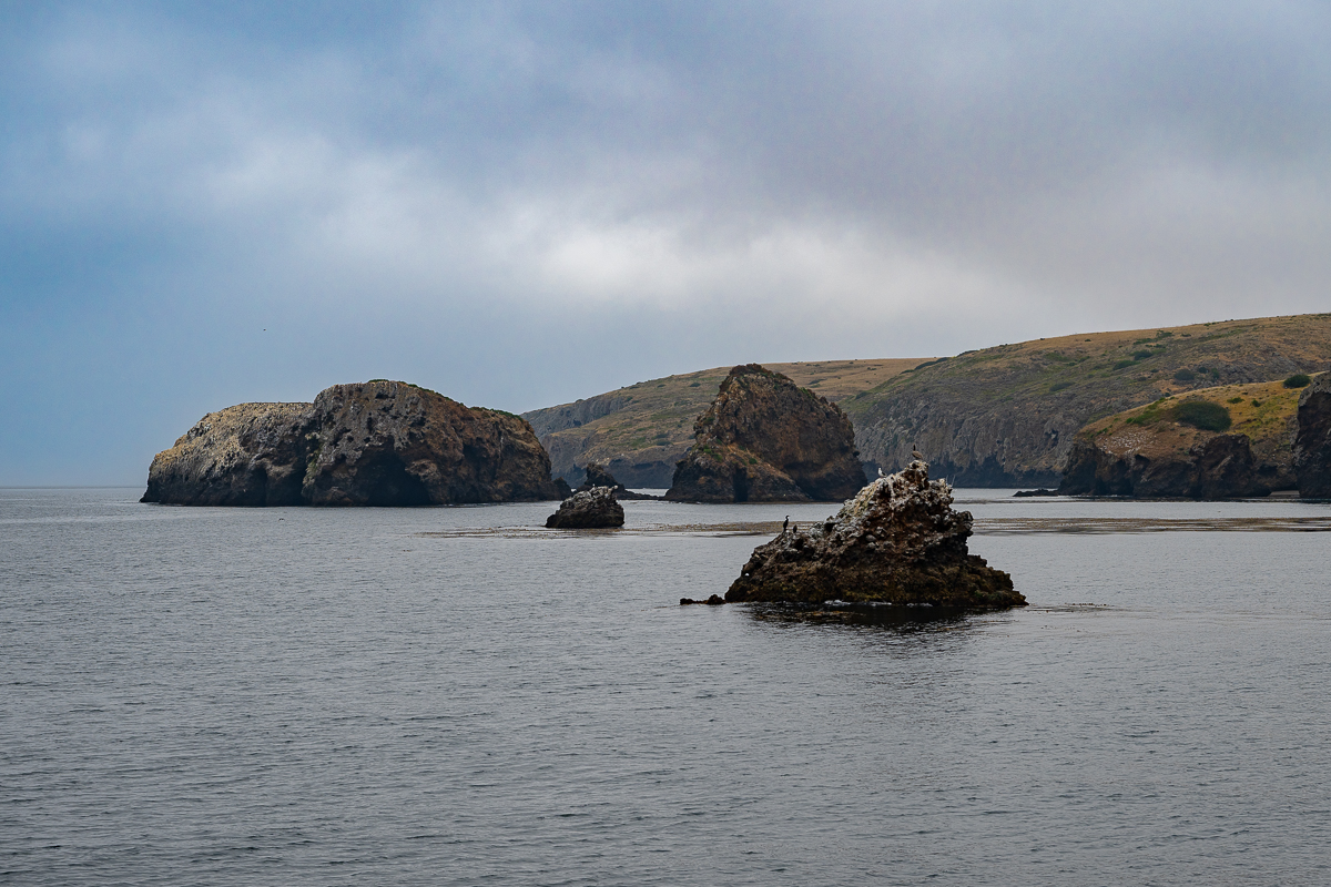 DSC_4297.jpg