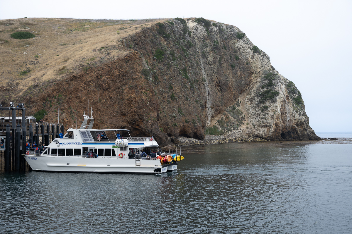 DSC_4299.jpg