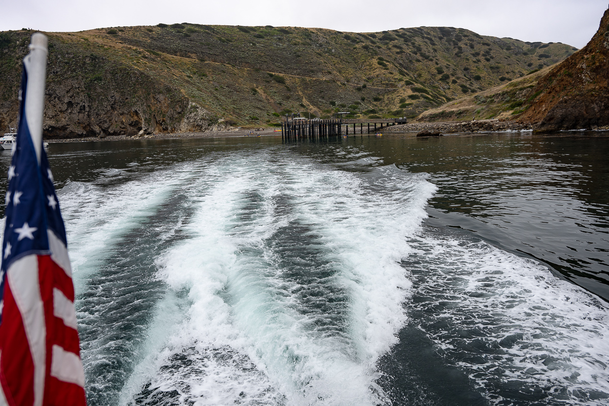 DSC_4316.jpg