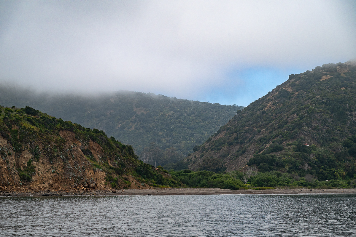 DSC_4322.jpg