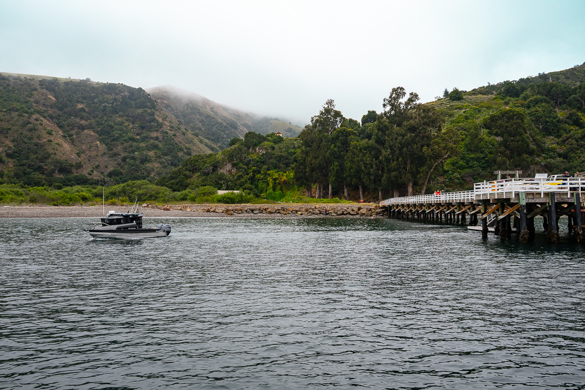 DSC_4323.jpg