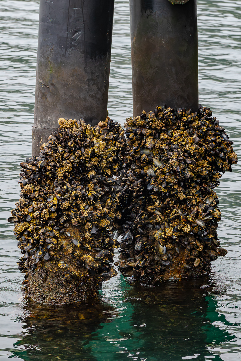 DSC_4324.jpg