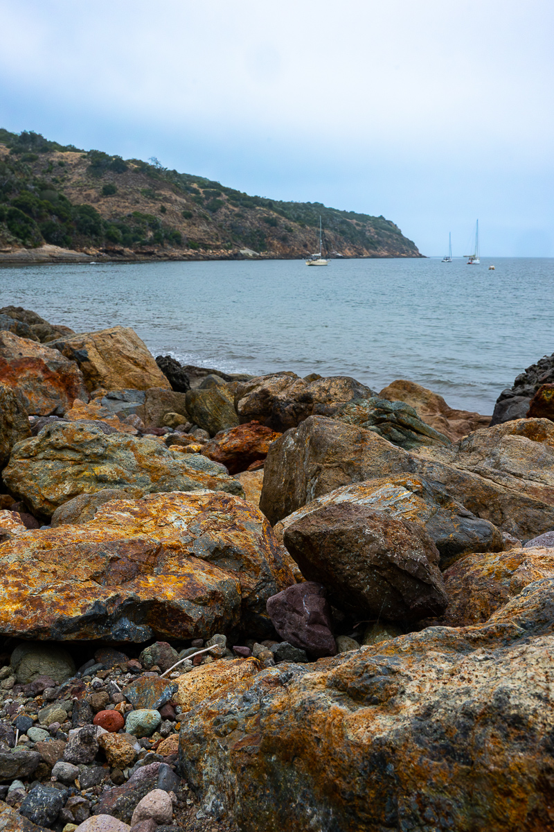 DSC_4329.jpg