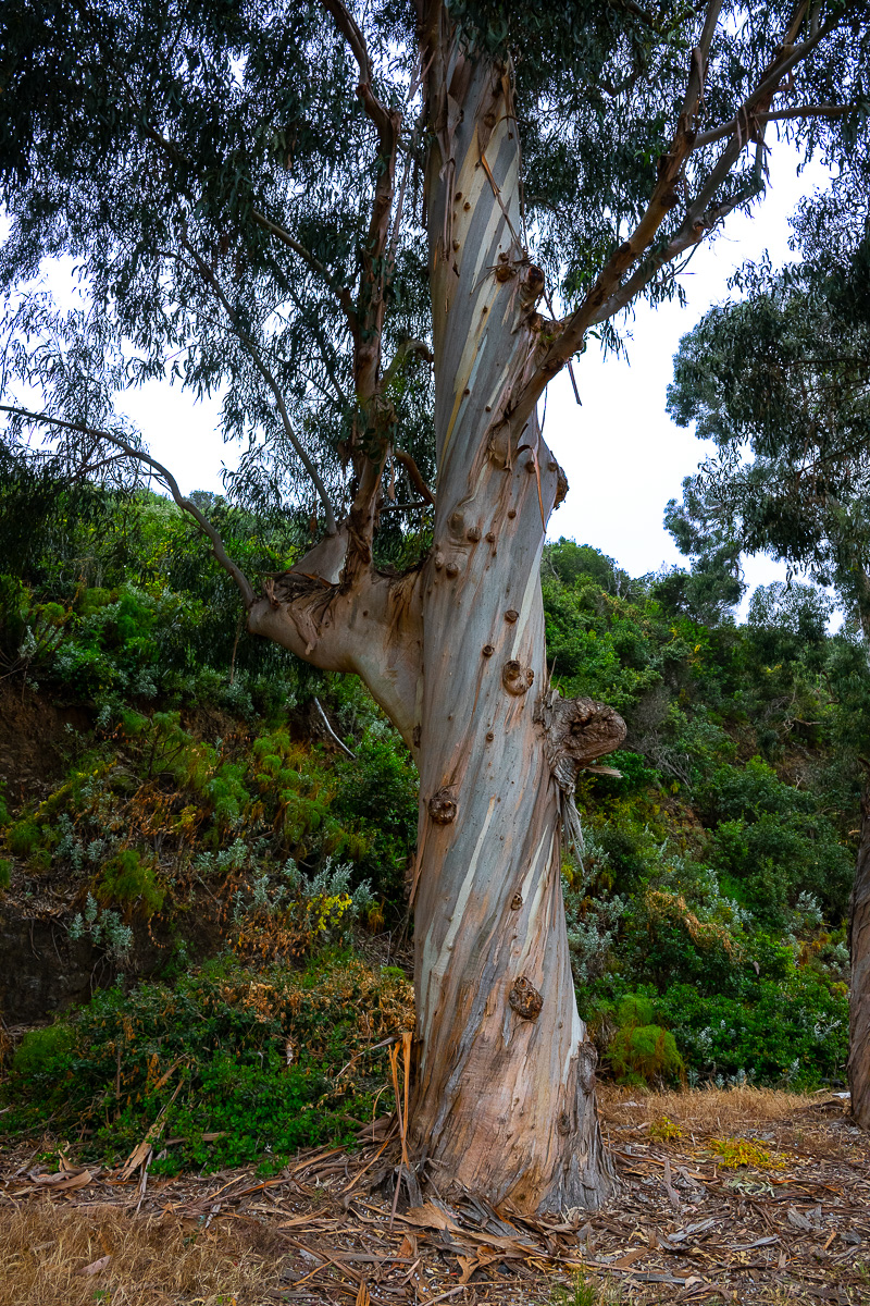 DSC_4332.jpg