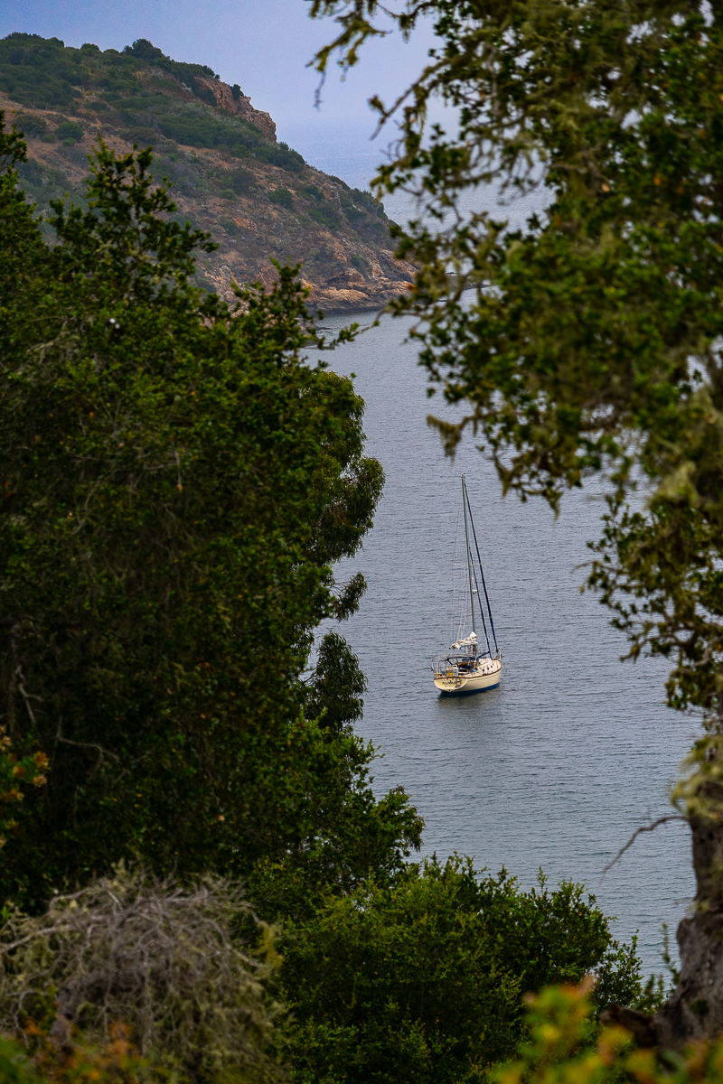 DSC_4340.jpg