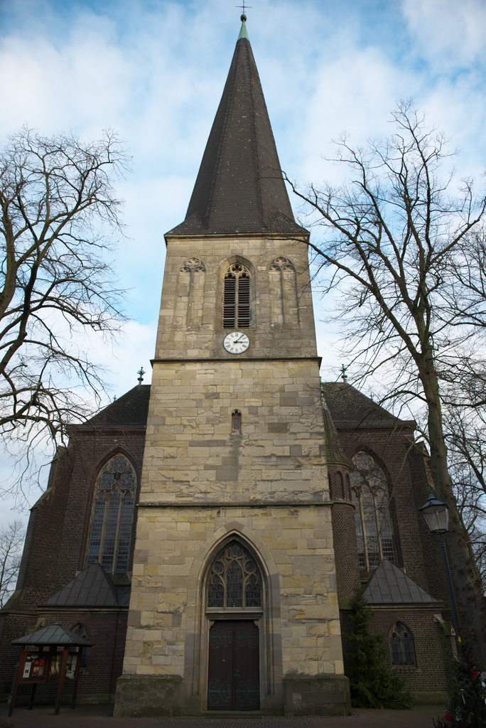 DSC_4350-001.jpg