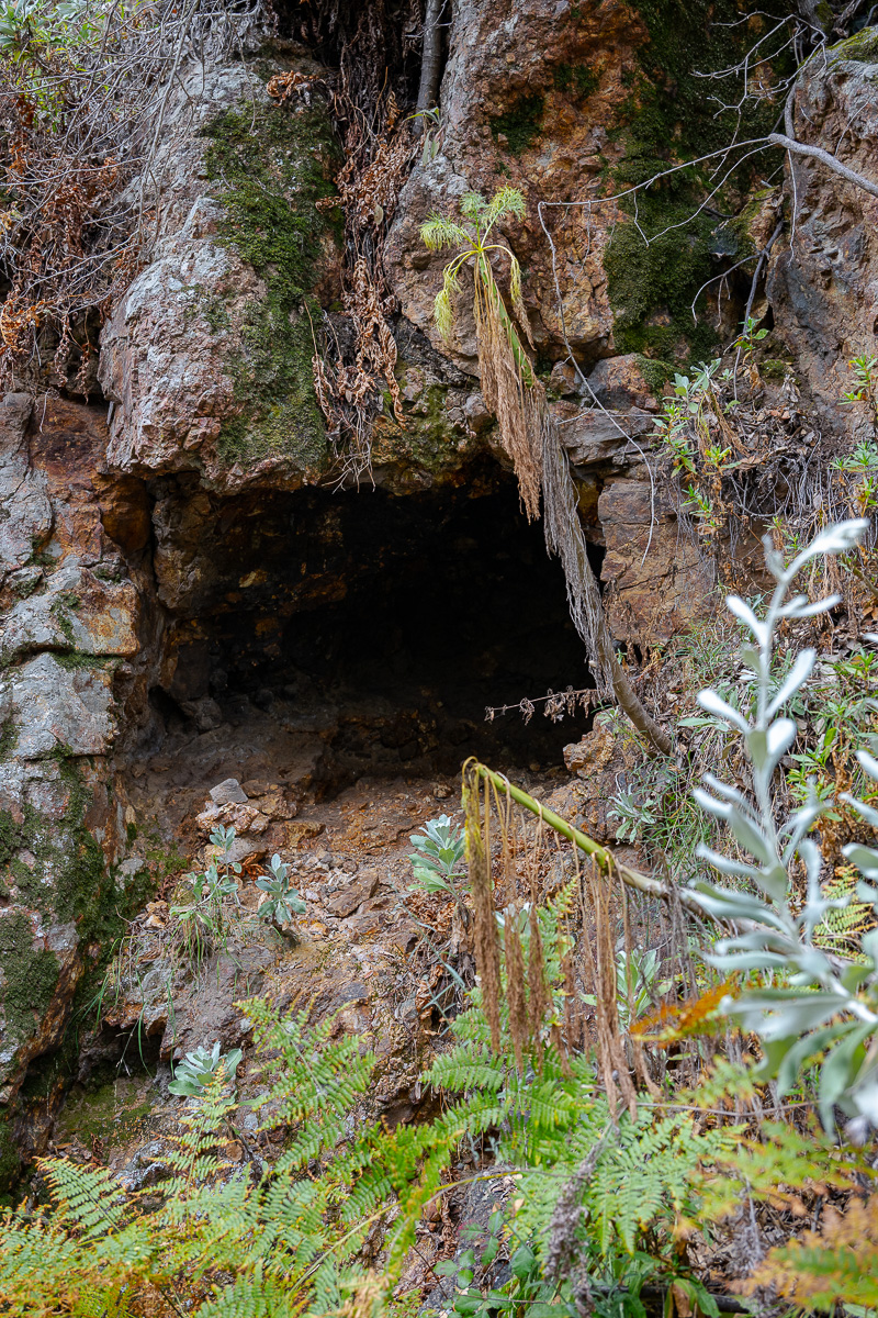 DSC_4363.jpg