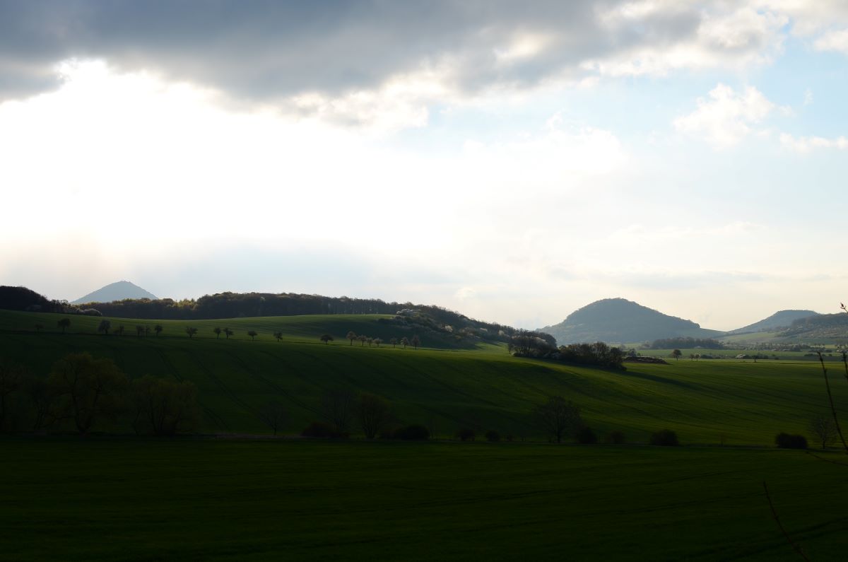 DSC_4366n.JPG