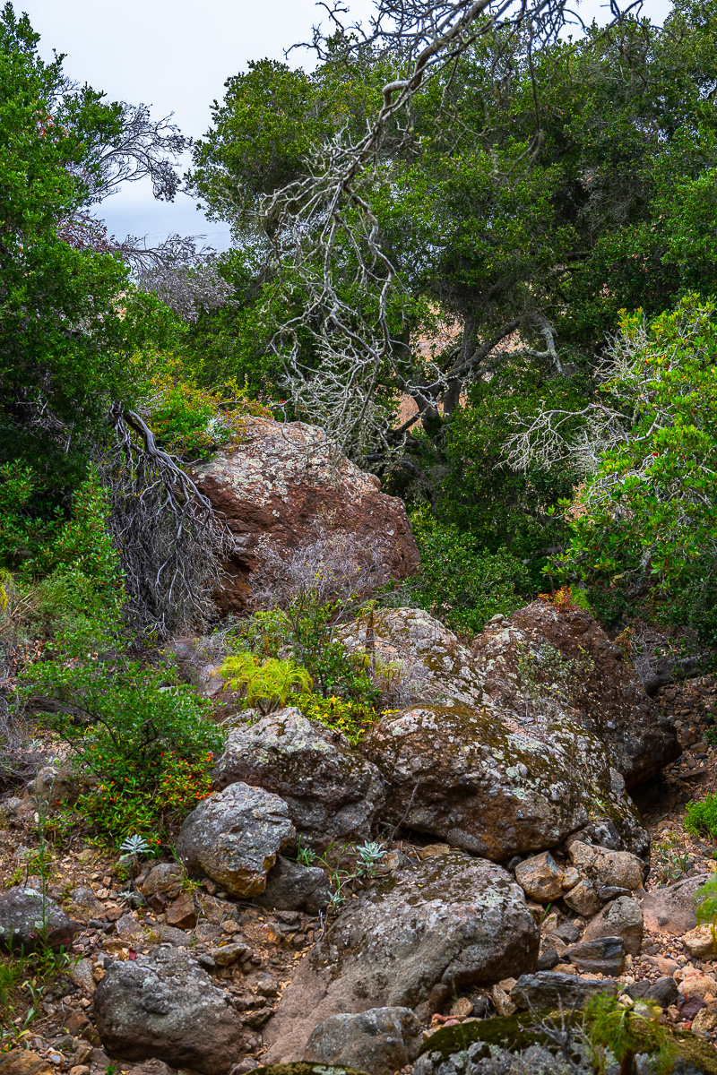 DSC_4367.jpg
