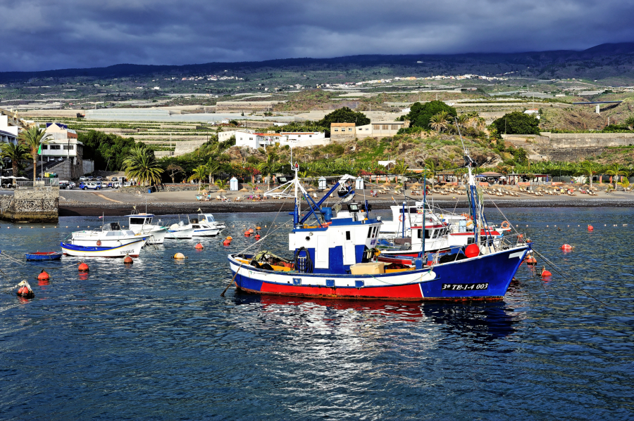 DSC_4375.jpg